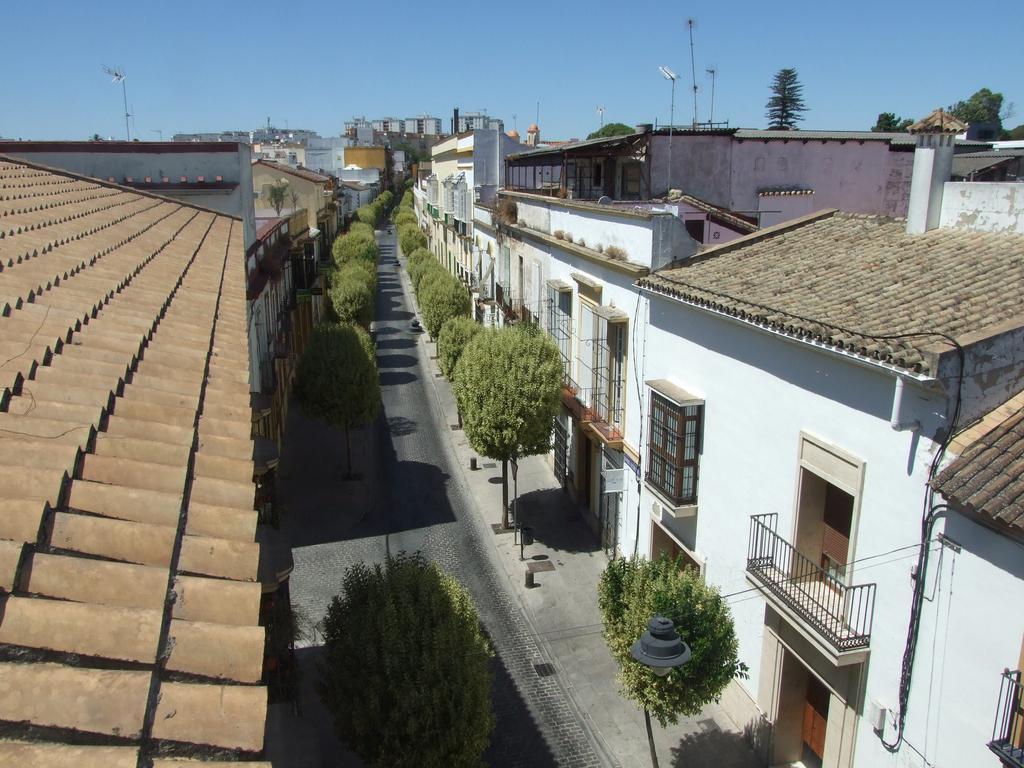 Apartament Ano Feliz Apartment Jerez de la Frontera Room photo